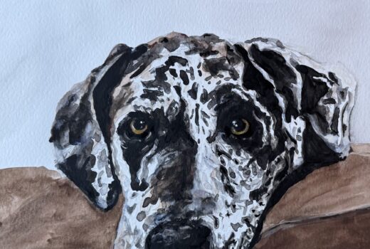 Dog Portrait 4
