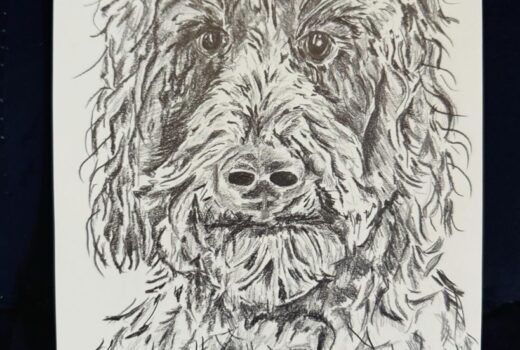 Dog Portrait 5