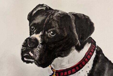 Dog Portrait 2