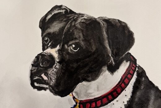 Dog Portrait 2