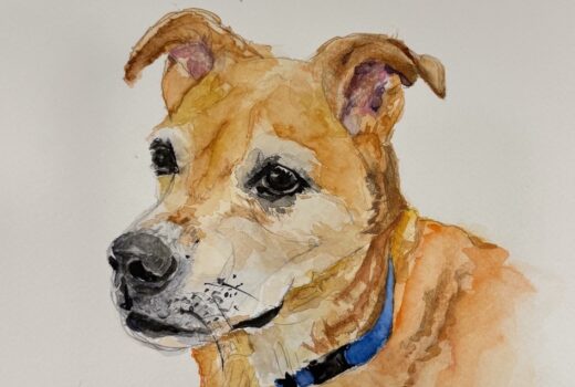 Dog Portrait 3