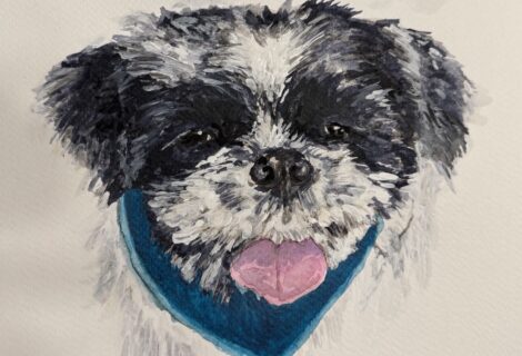 Dog Portrait 1